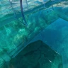 Tour in Crystal Boat condiviso o privato a Siracusa