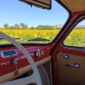 Tour in Fiat 500 della Riviera del Conero