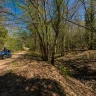 Tour in Quad nella Maremma Toscana con Grigliata nel Bosco