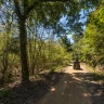 Tour in Quad nella Maremma Toscana con Grigliata nel Bosco