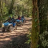 Tour in Quad nella Maremma Toscana con Grigliata nel Bosco