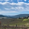 Visita in Cantina al Castello di Meleto nel Chianti