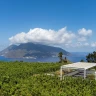 Visita in Cantina e Degustazione al Tramonto a Lipari