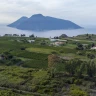 Visita in Cantina e Degustazione al Tramonto a Lipari