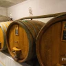 Visita in Cantina e Degustazione di Vini in provincia di Pisa