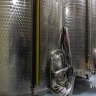 Visita in Cantina e Degustazione di Vini in provincia di Pisa