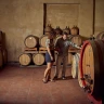 Visita in Cantina e Degustazione di Vini vicino Siena