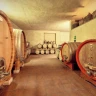 Visita in Cantina e Degustazione di Vini vicino Siena