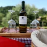 Visita in Cantina e Degustazione nell’Oltrepò Pavese
