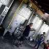 Visita in Cantina e Degustazione vicino Chieti