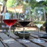 Visita in Cantina e Degustazione vicino Chieti