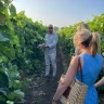 Winemaker per un Giorno con Degustazione nel Salento
