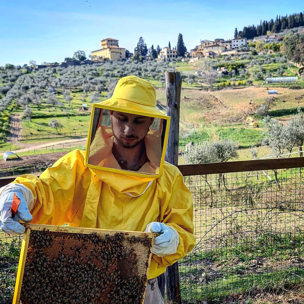 Fattoria Didattica in Toscana 