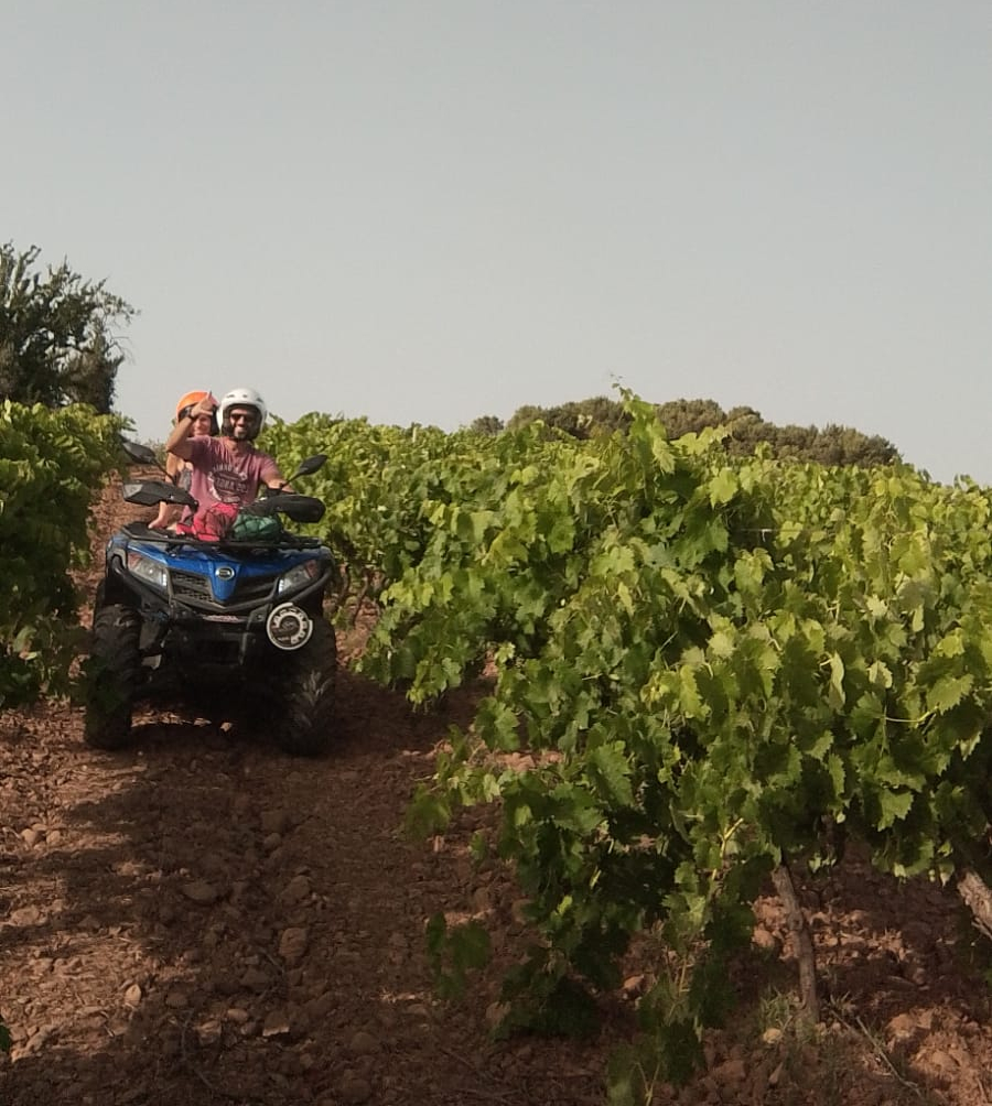 Escursione in quad di 3 o 4 ore vicino Trapani