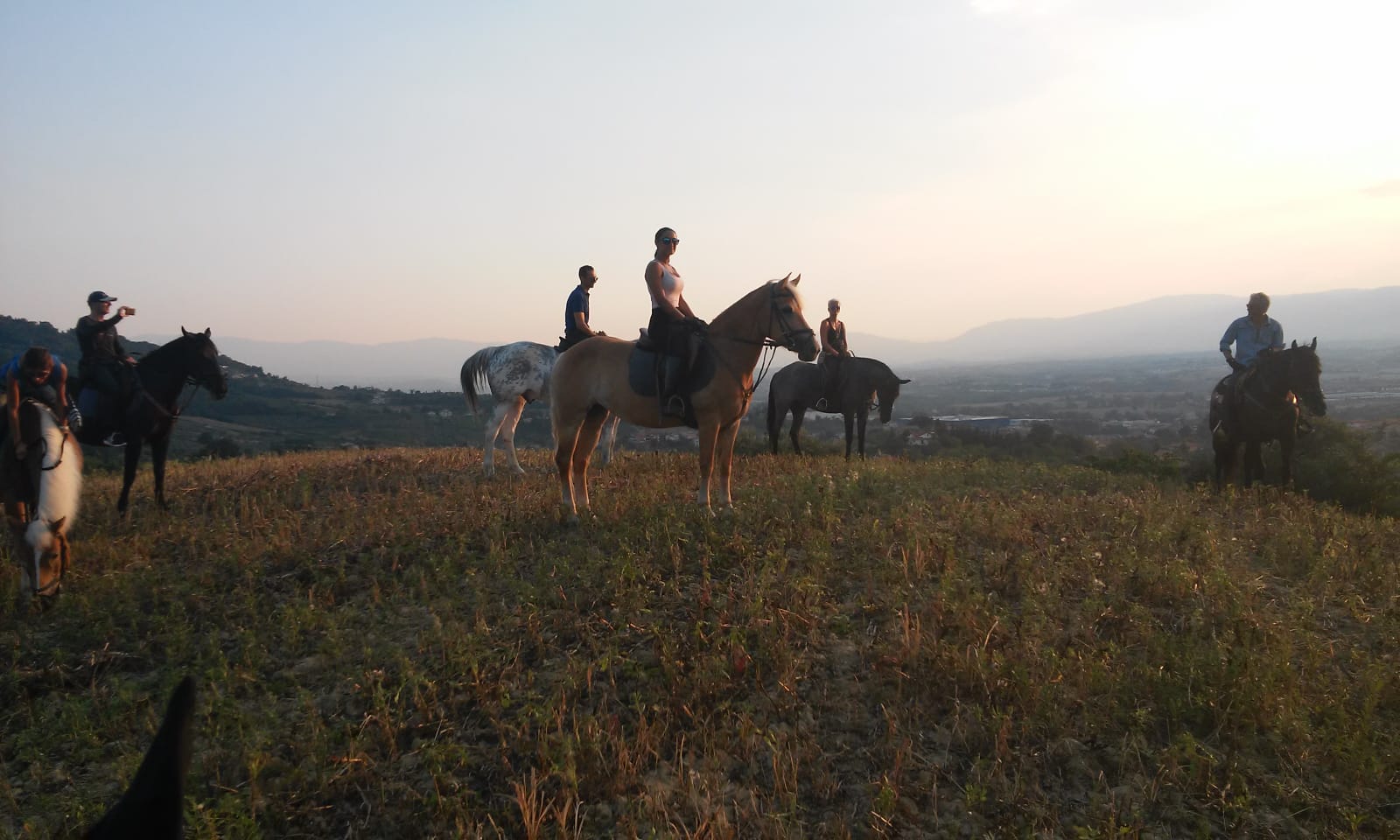 Lezione e Passeggiata a cavallo vicino Pescara e Chieti