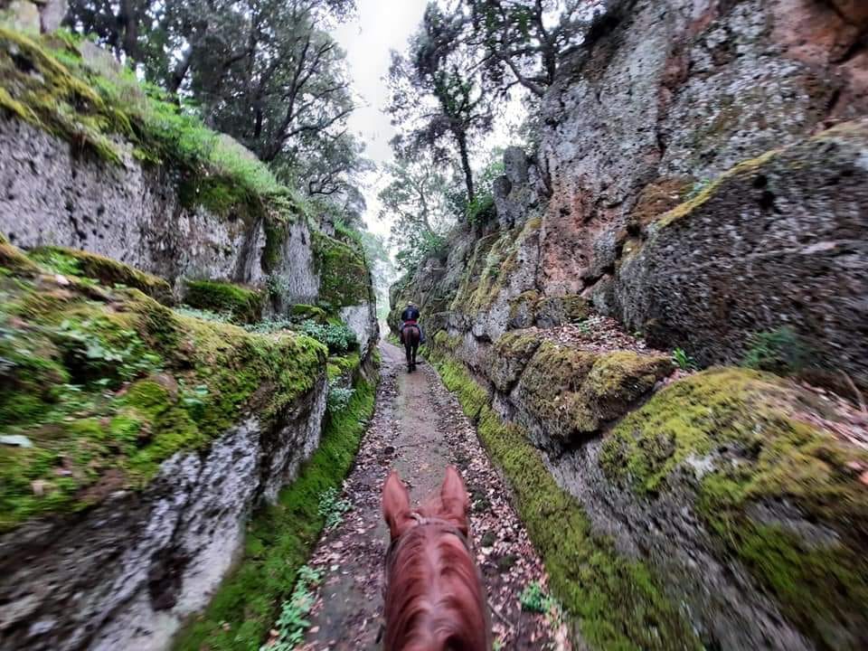 Passeggiata a cavallo a Cerveteri