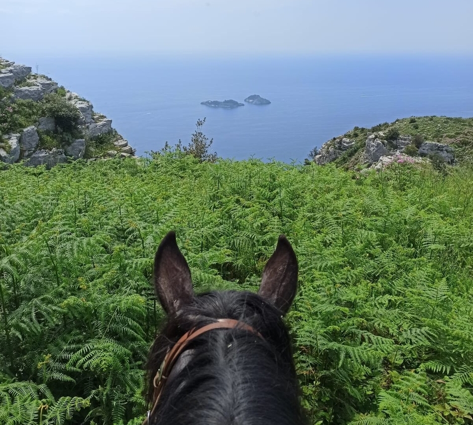 Passeggiata a Cavallo fra Sorrento e Costiera Amalfitana