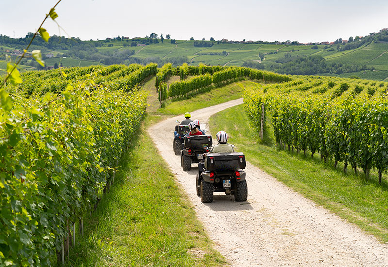 Escursione in Quad nelle Langhe 