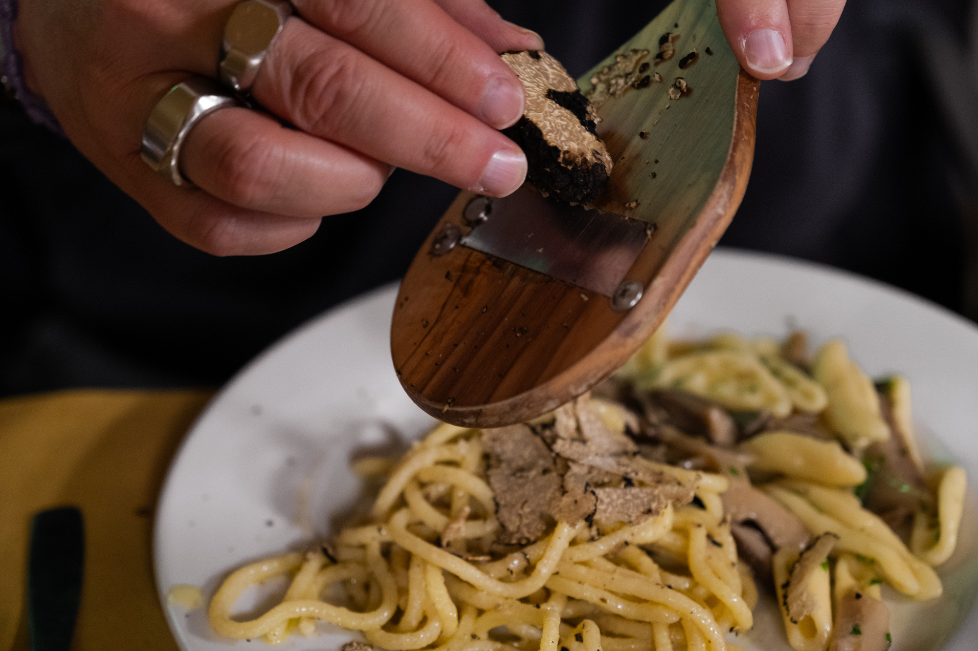 Caccia al tartufo con pranzo nel Parco Nazionale del Pollino