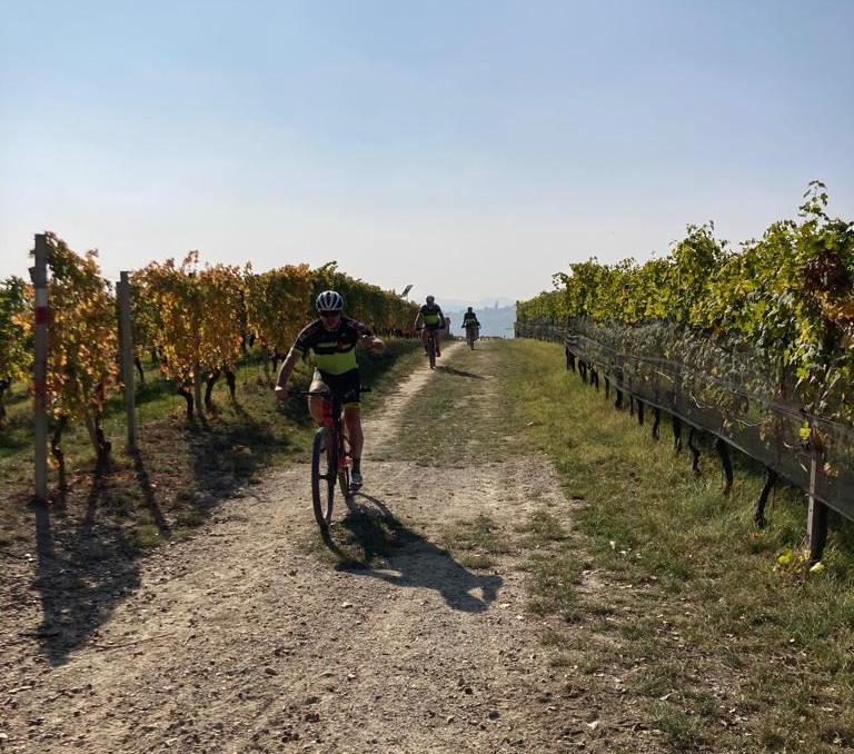 Barbaresco E-Bike tour nelle Langhe