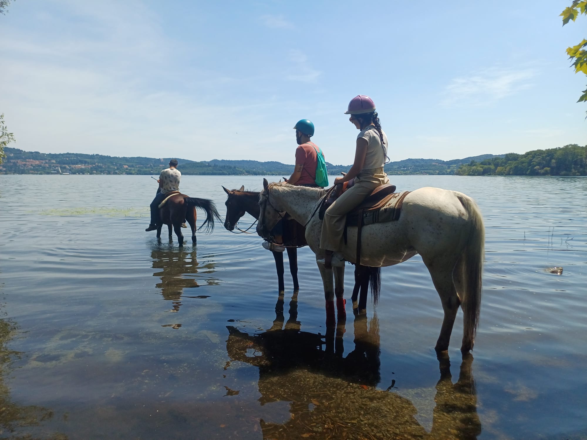 Passeggiata a cavallo al Lago di Viverone nel Canavese