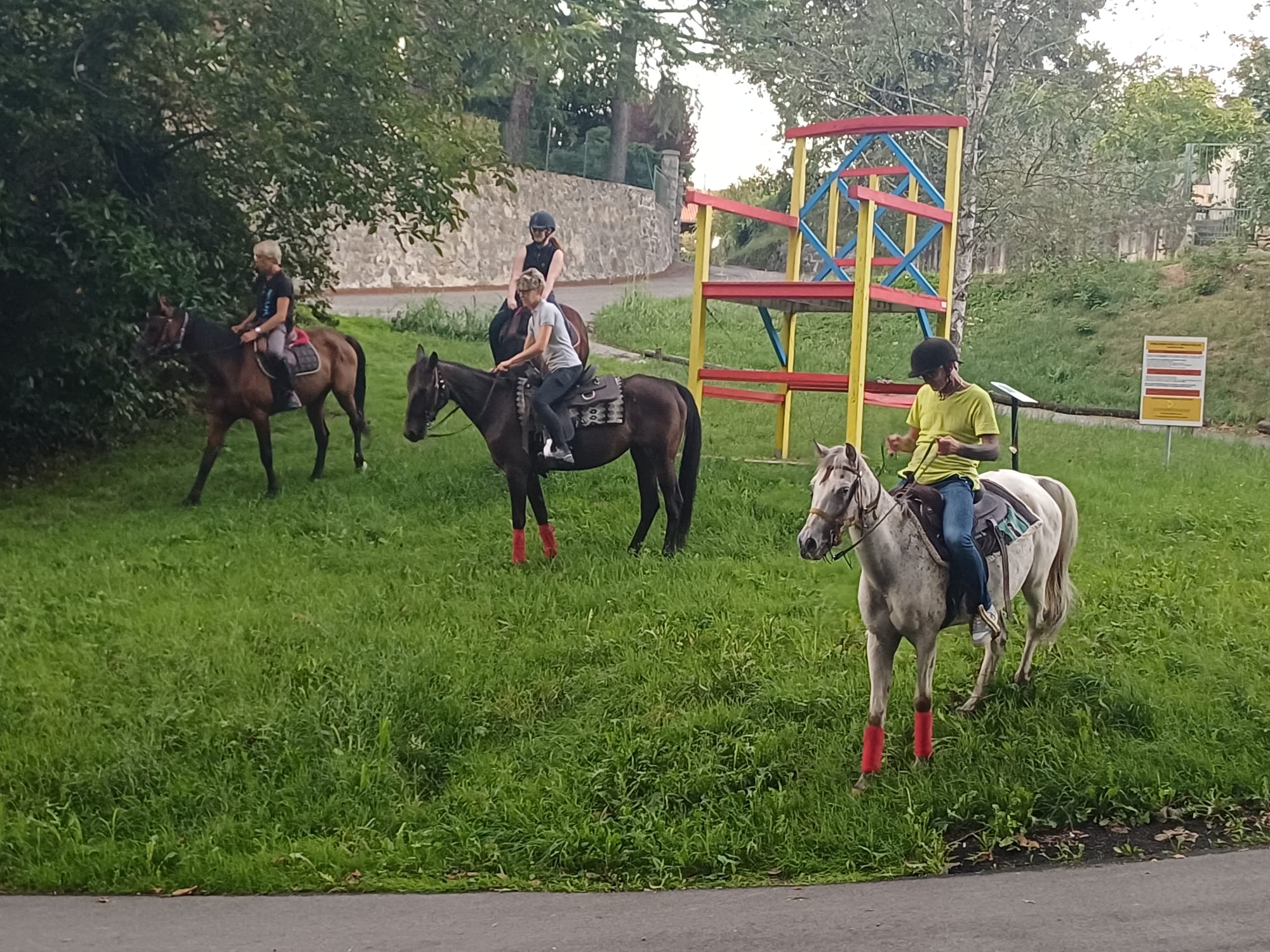 Passeggiata a cavallo tra le colline moreniche nel Canevese