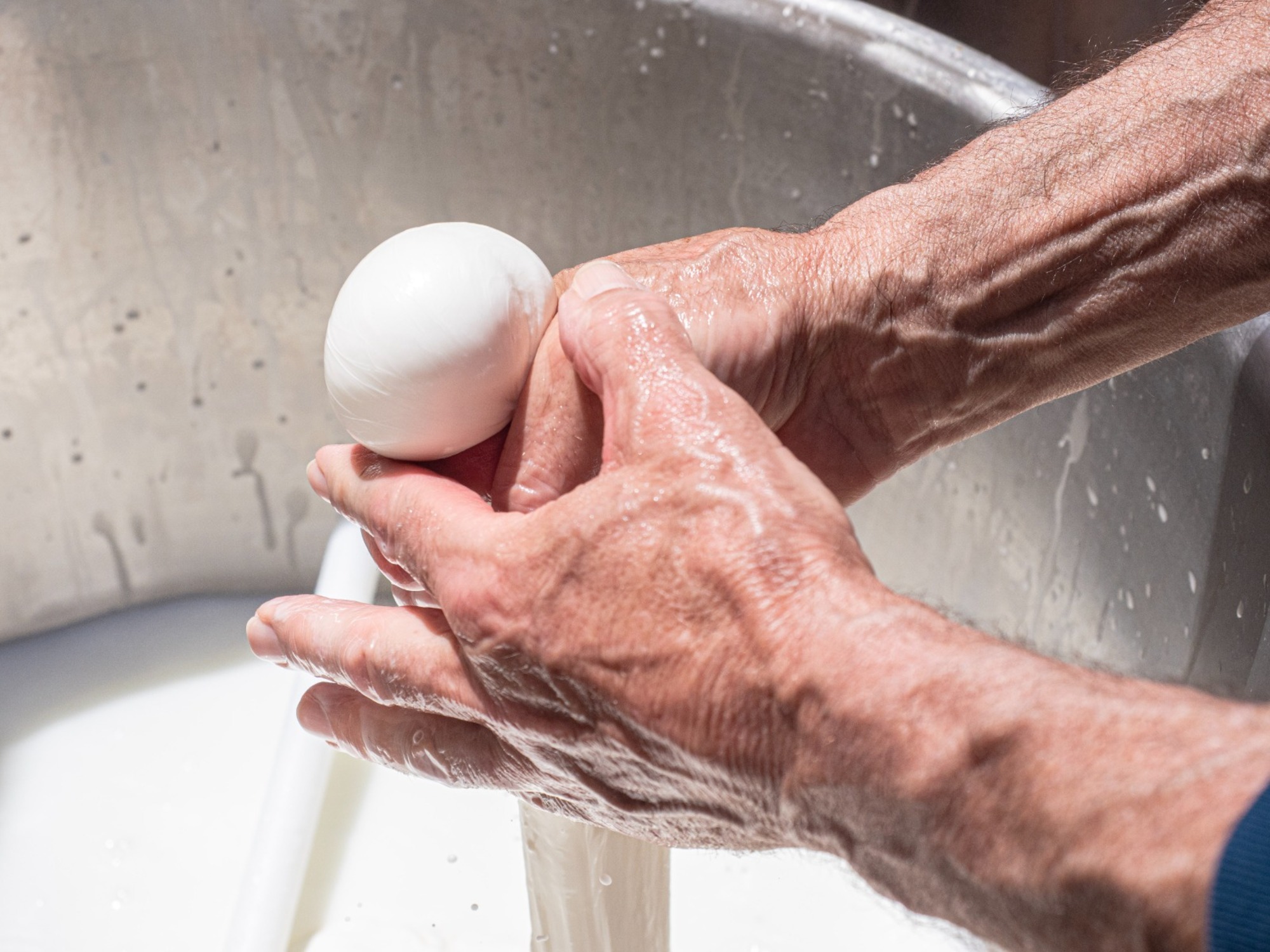 Laboratorio della mozzarella con degustazione vicino Salerno