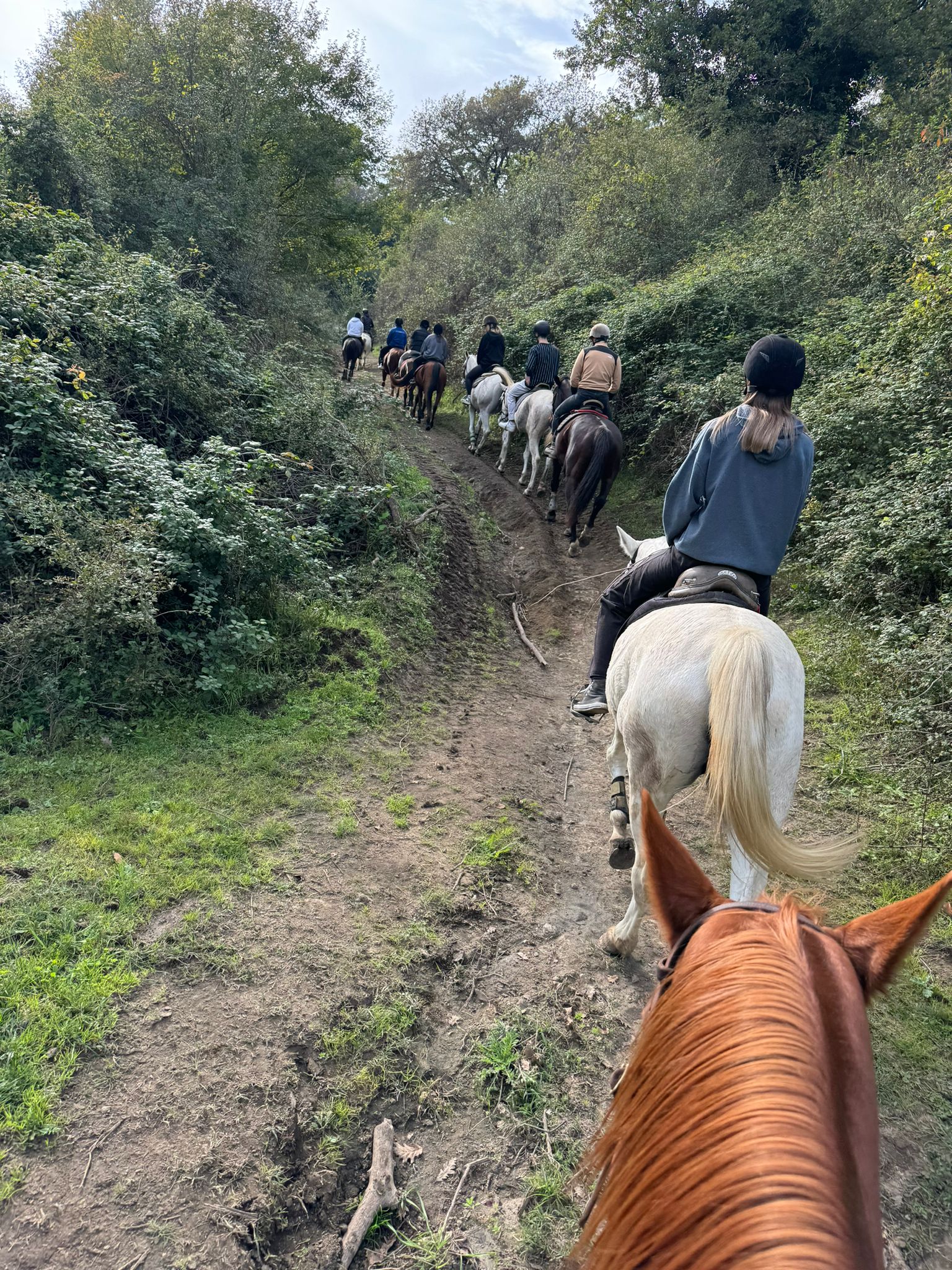 Passeggiata a cavallo nel Parco di Veio e Valle del Sorbo
