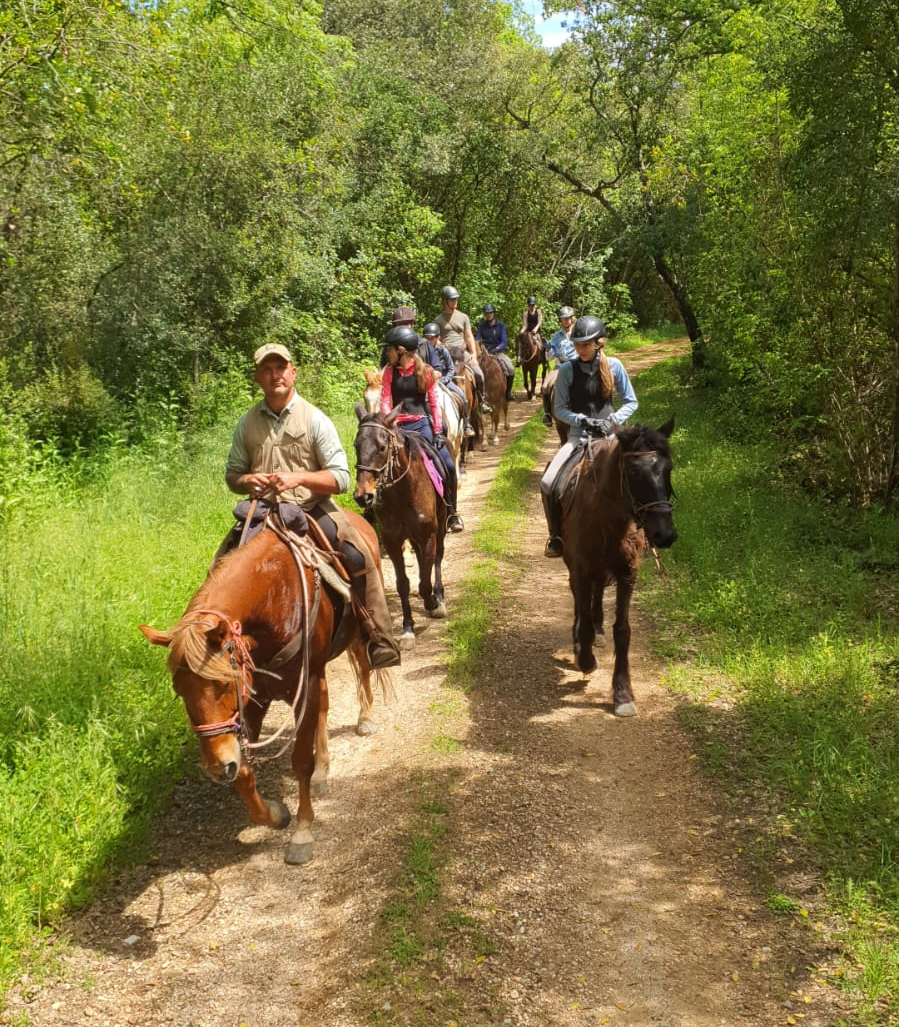 Passeggiata a cavallo vicino Livorno