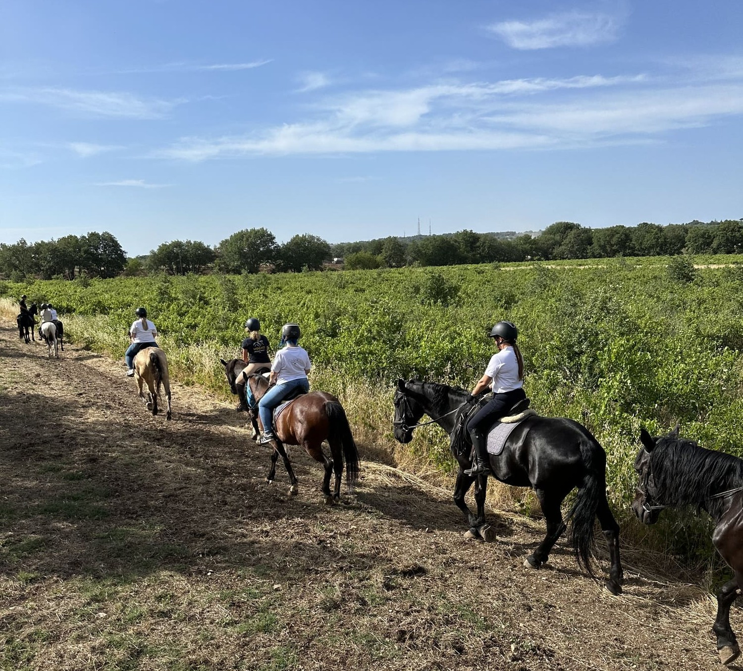 Passeggiata a cavallo nel Parco Nazionale dell'Alta Murgia
