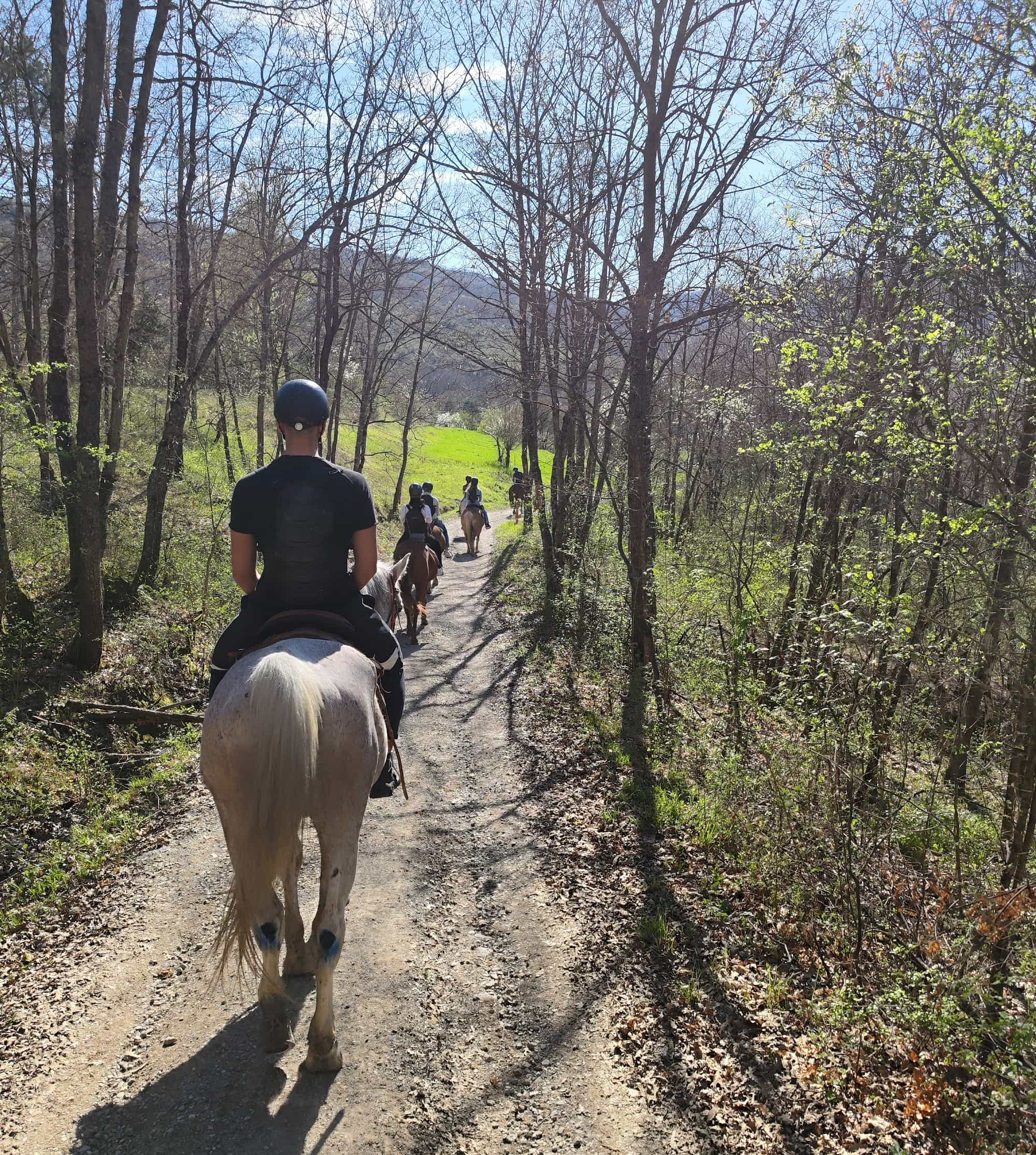 Passeggiata a cavallo nell'Appennino Bolognese