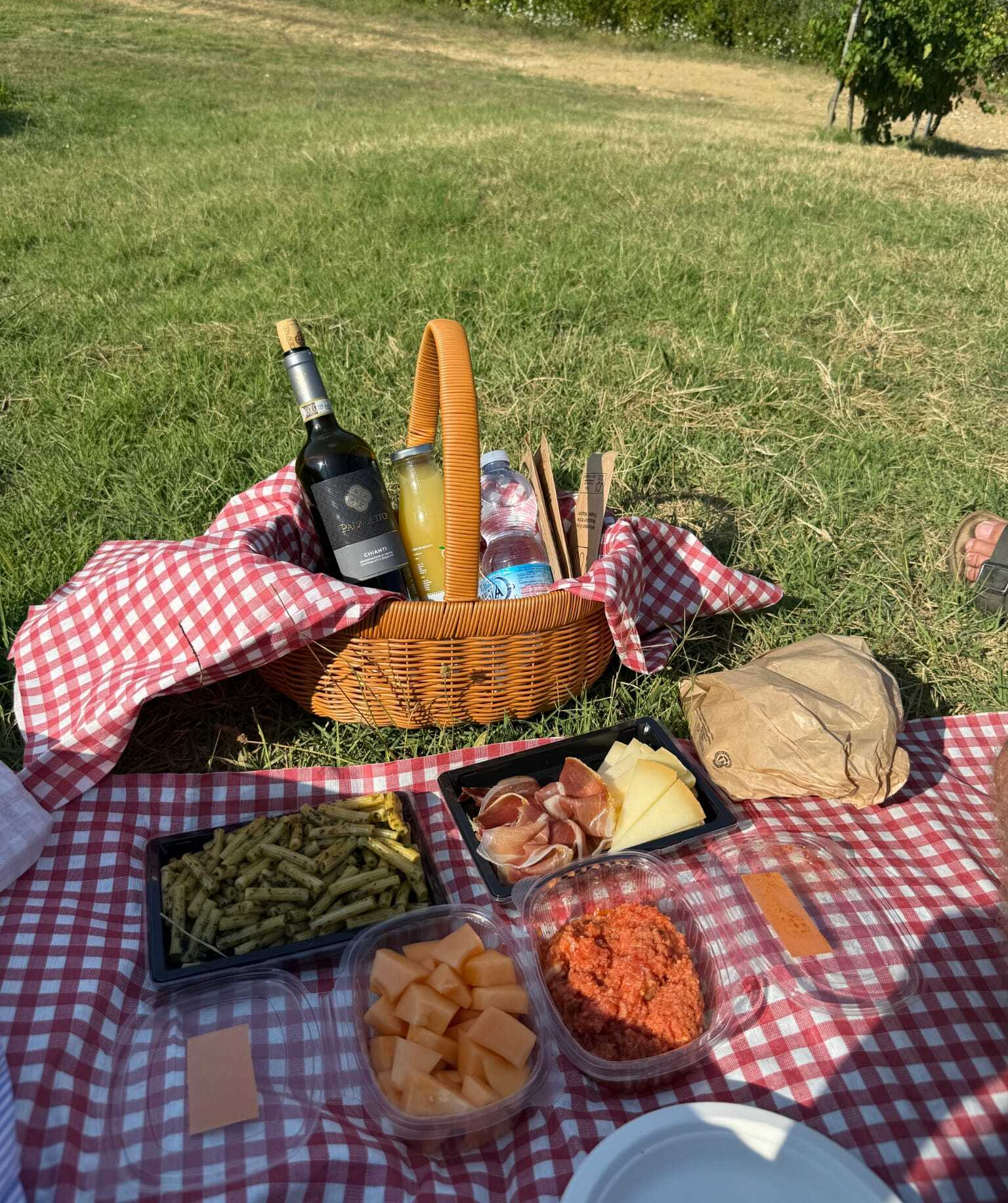 Soggiorno di coppia con picnic in vigna a San Gimignano
