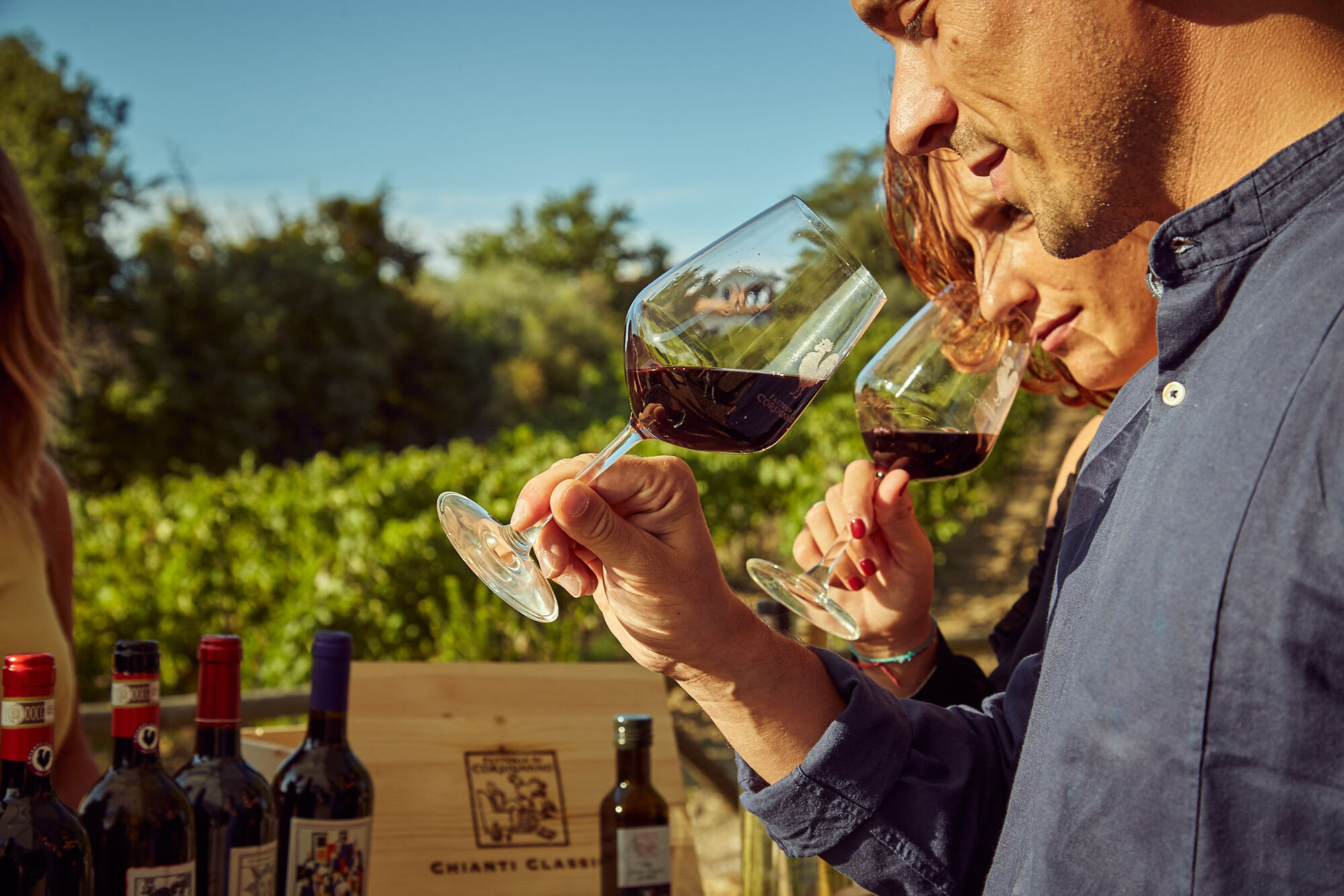 Visita in cantina e degustazione di vini vicino Siena