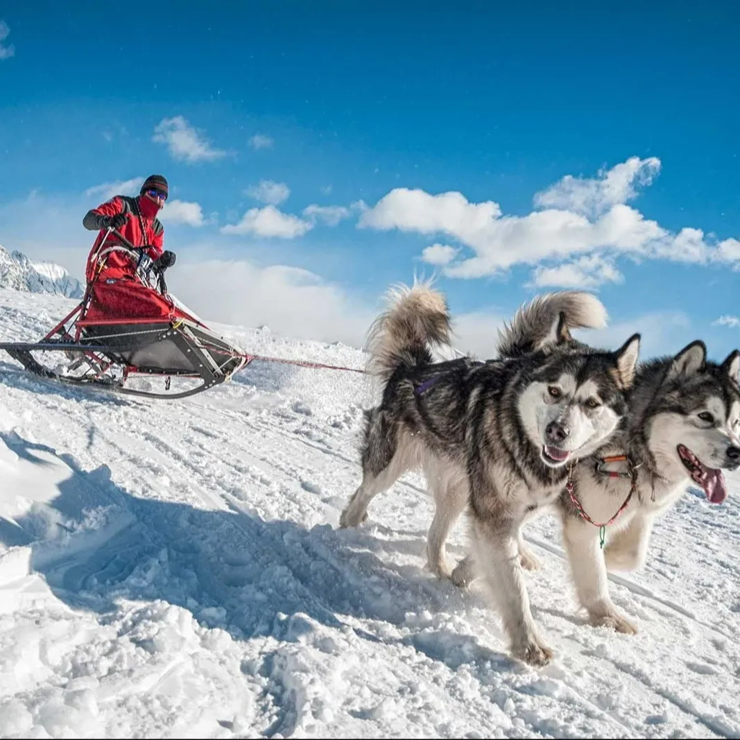 Attività sulla Neve