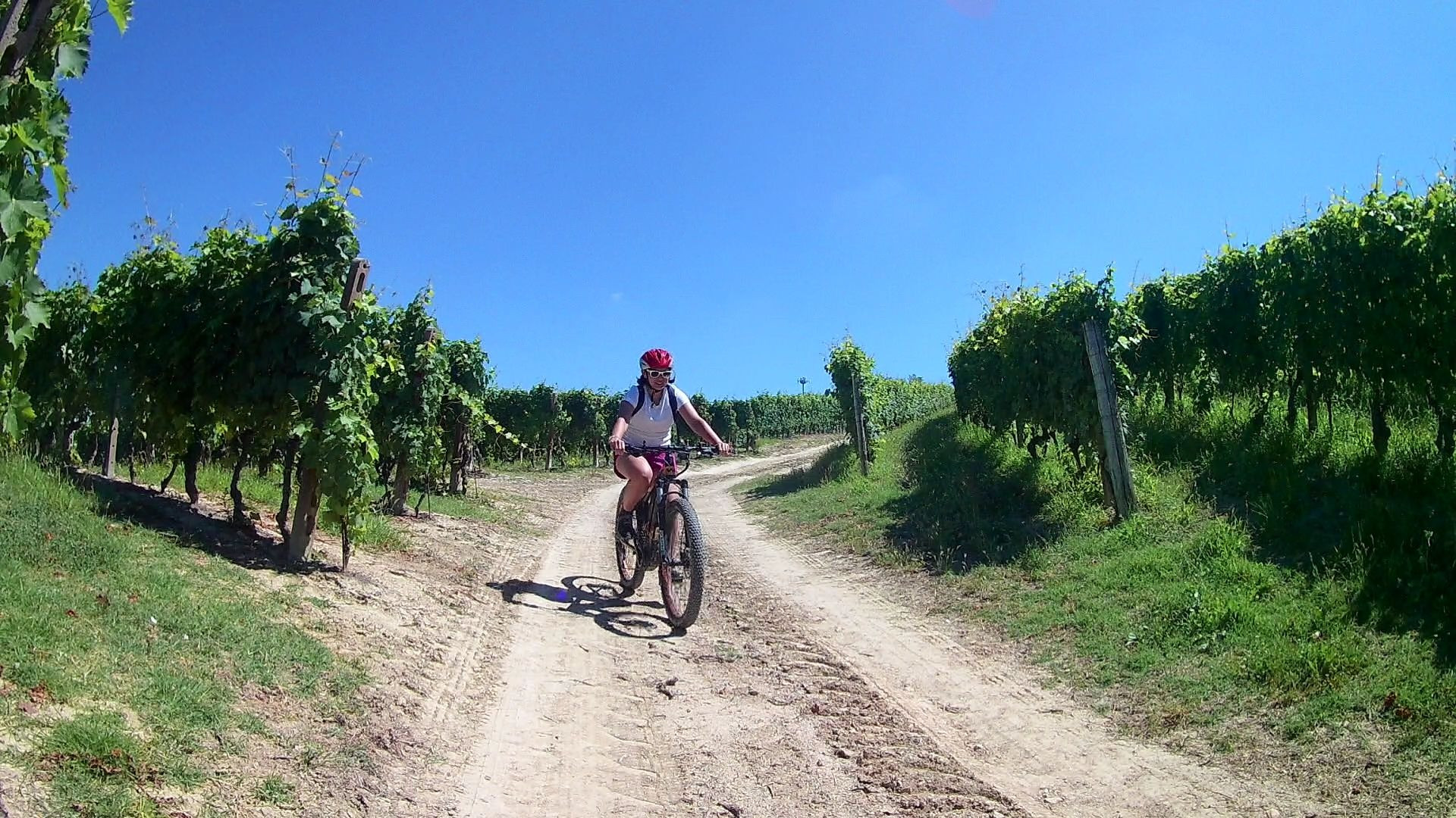 Barbaresco E-Bike Tour nelle Langhe