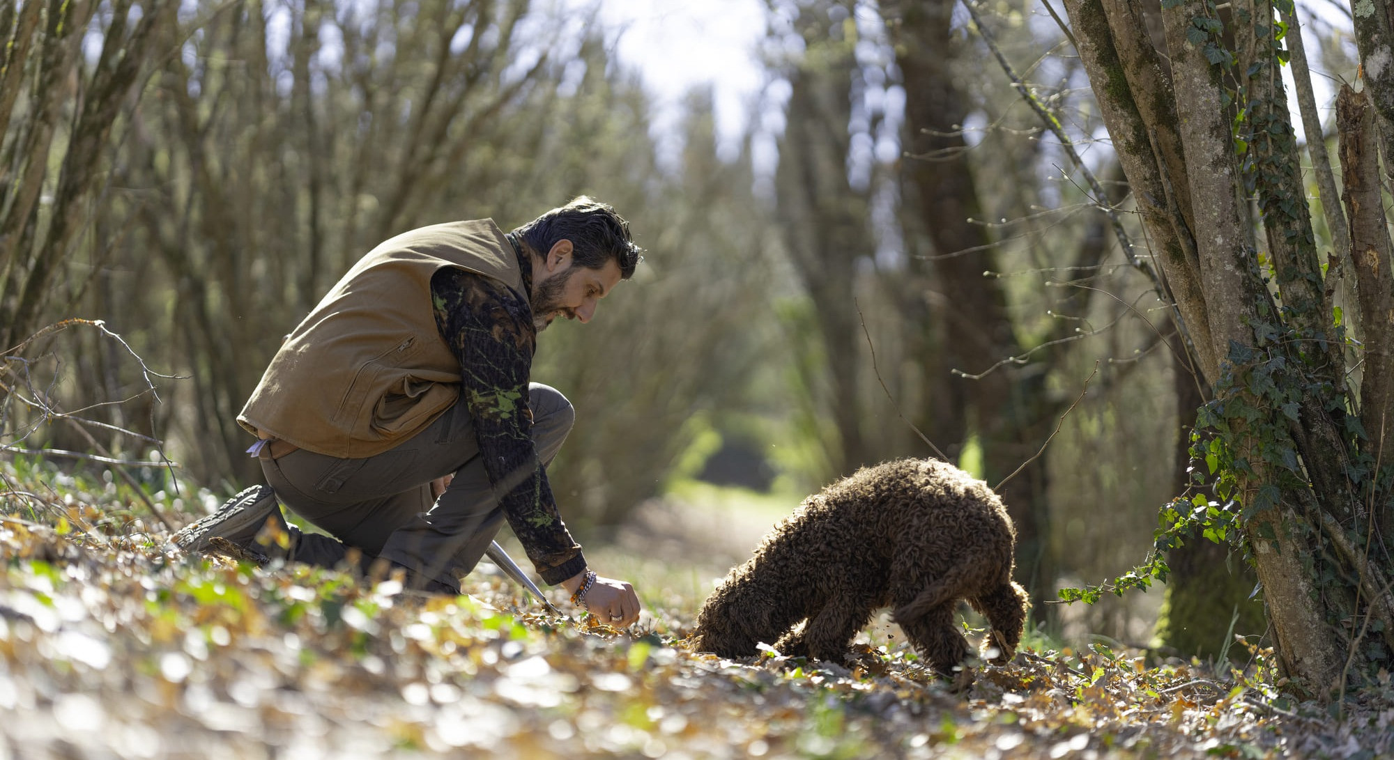 Caccia al Tartufo con Degustazione vicino Perugia