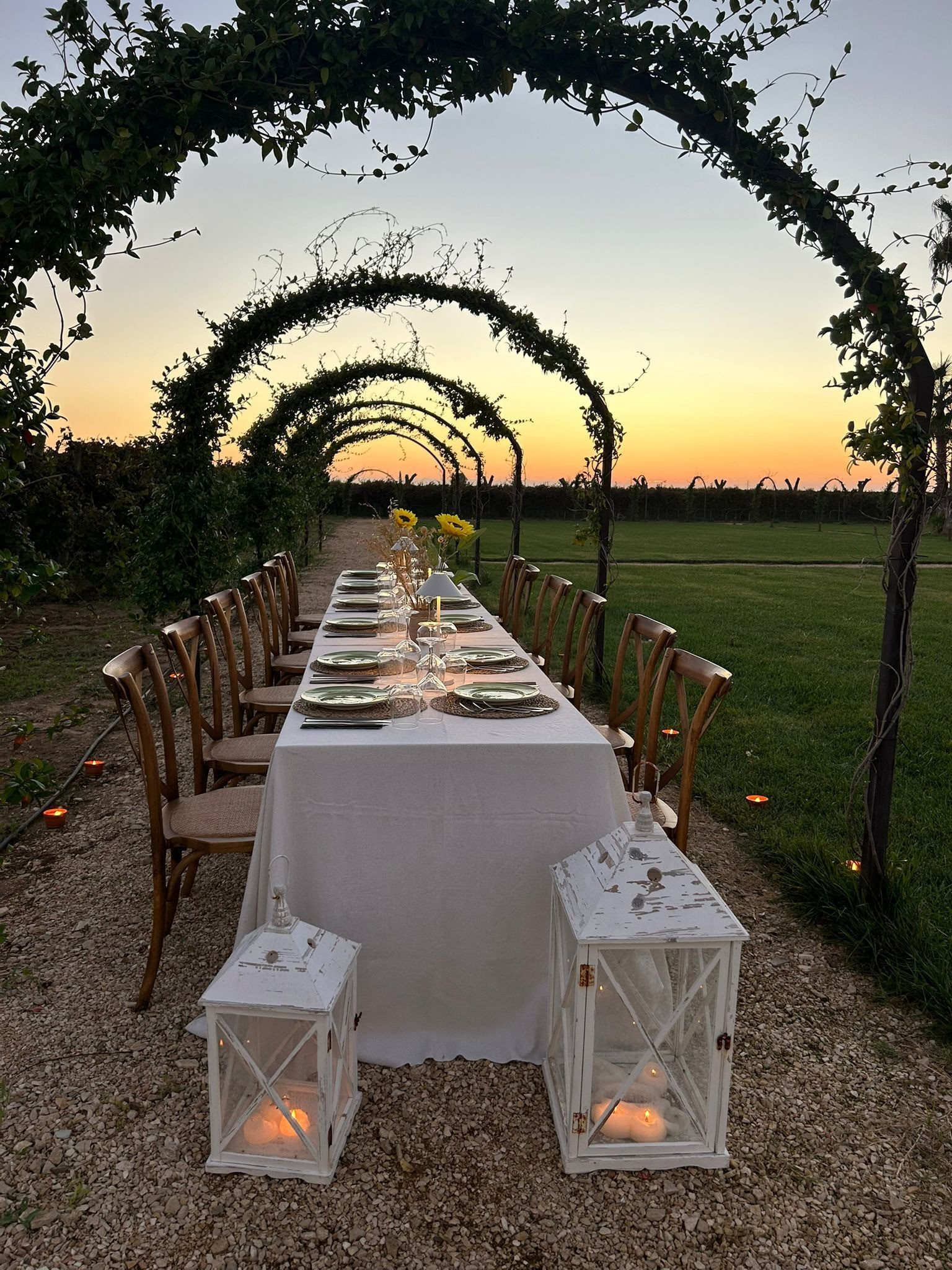 Cena privata in Vigna al Tramonto nel Salento