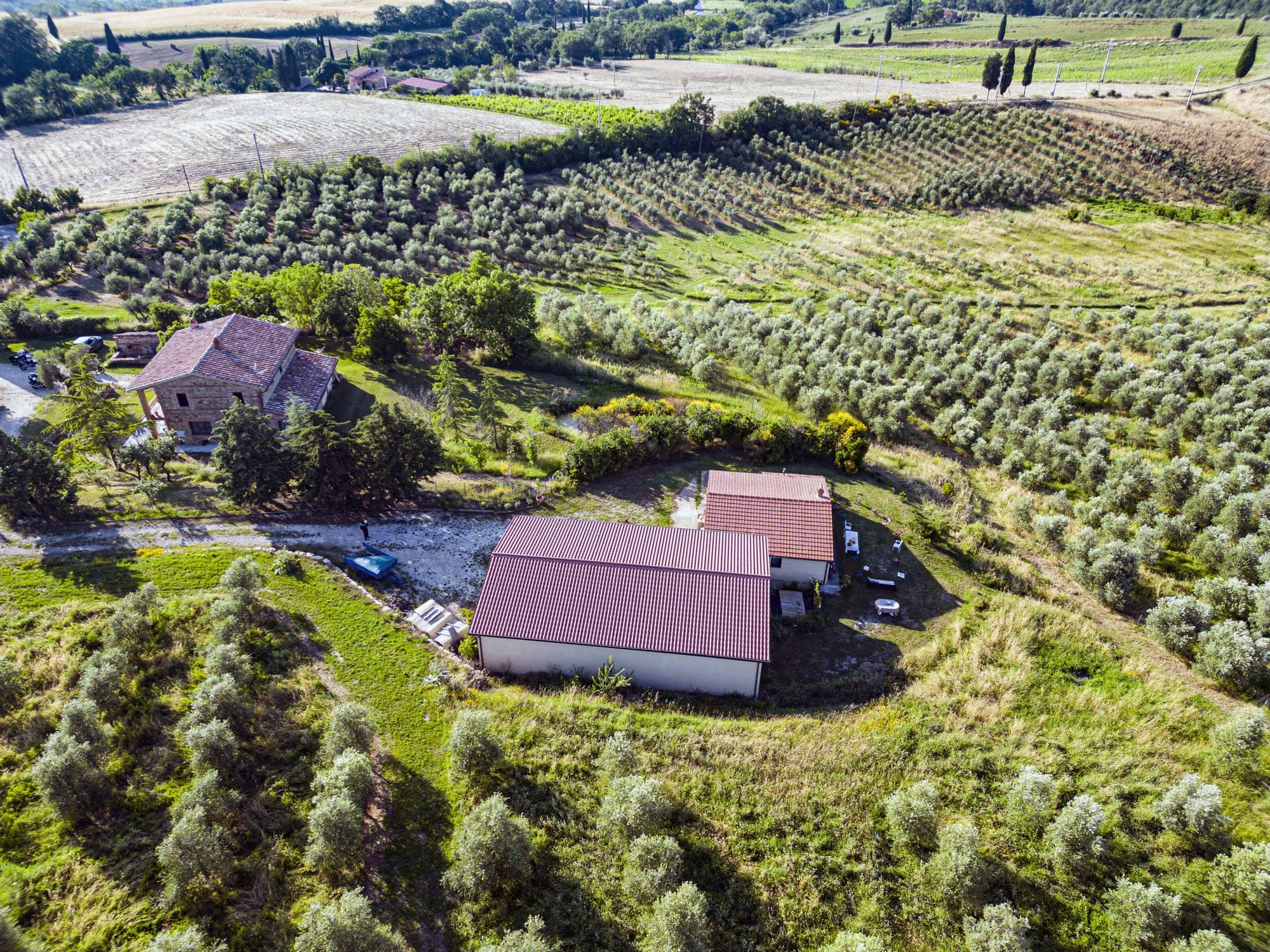 Degustazione dell'Olio di Pienza vicino Siena