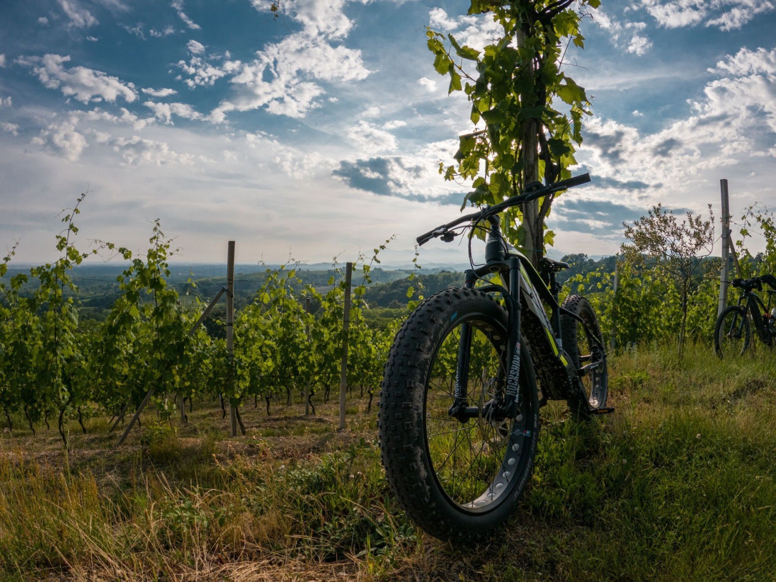 E-Bike Tour con Degustazione in Vigna a Gattinara in Valsesia