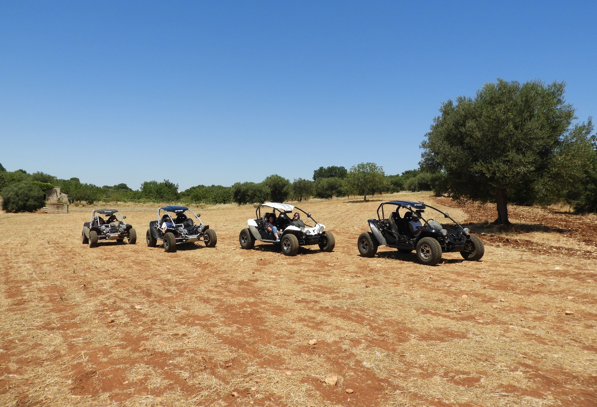 Escursione di 2 ore in Dune Buggy vicino Alberobello