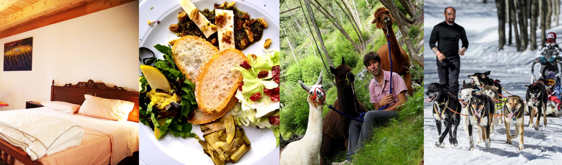 Fattoria Experience sulle Dolomiti