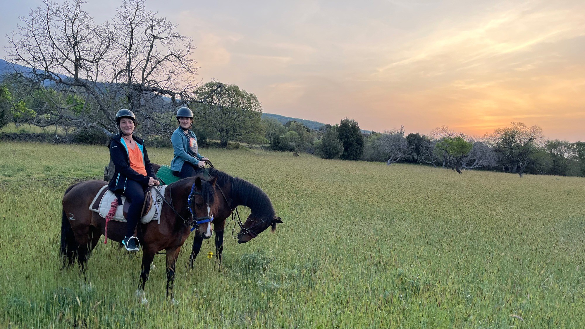 Giornata a Cavallo nel Parco dell'Etna