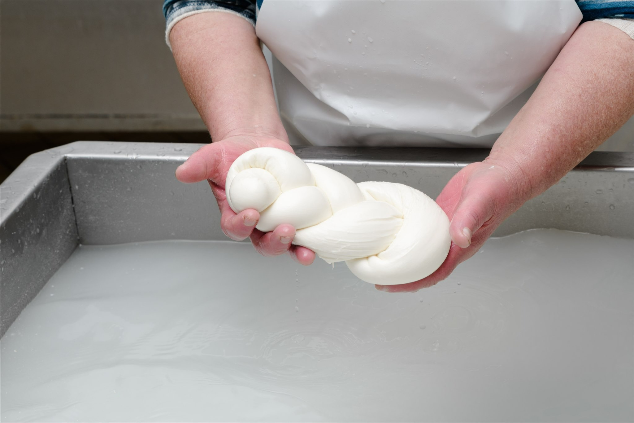 Laboratorio della Mozzarella in Costiera Sorrentina