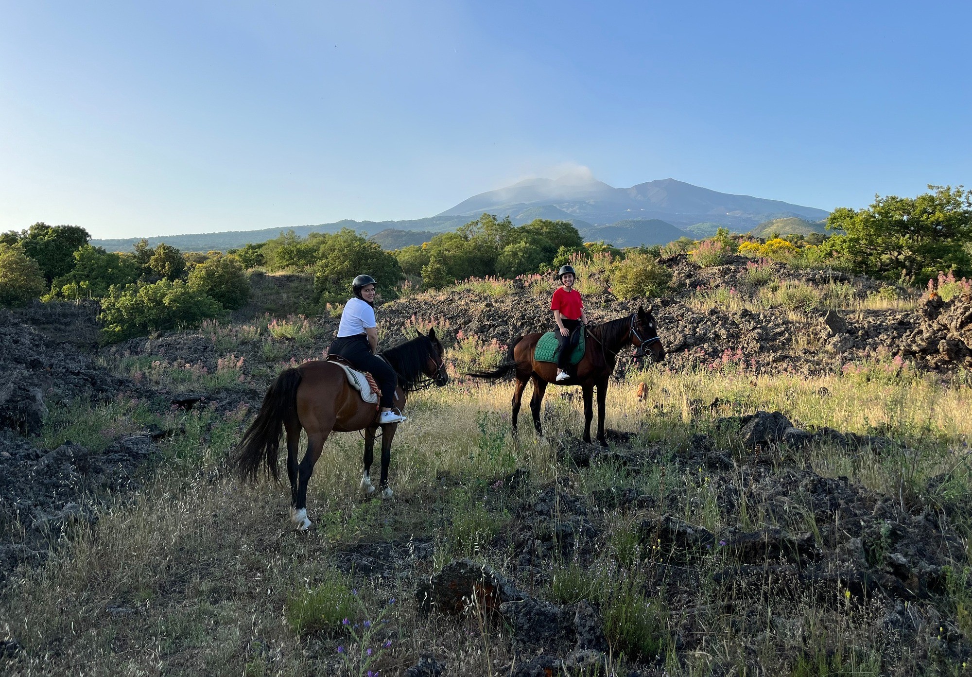 Passeggiata a Cavallo nel Parco dell'Etna