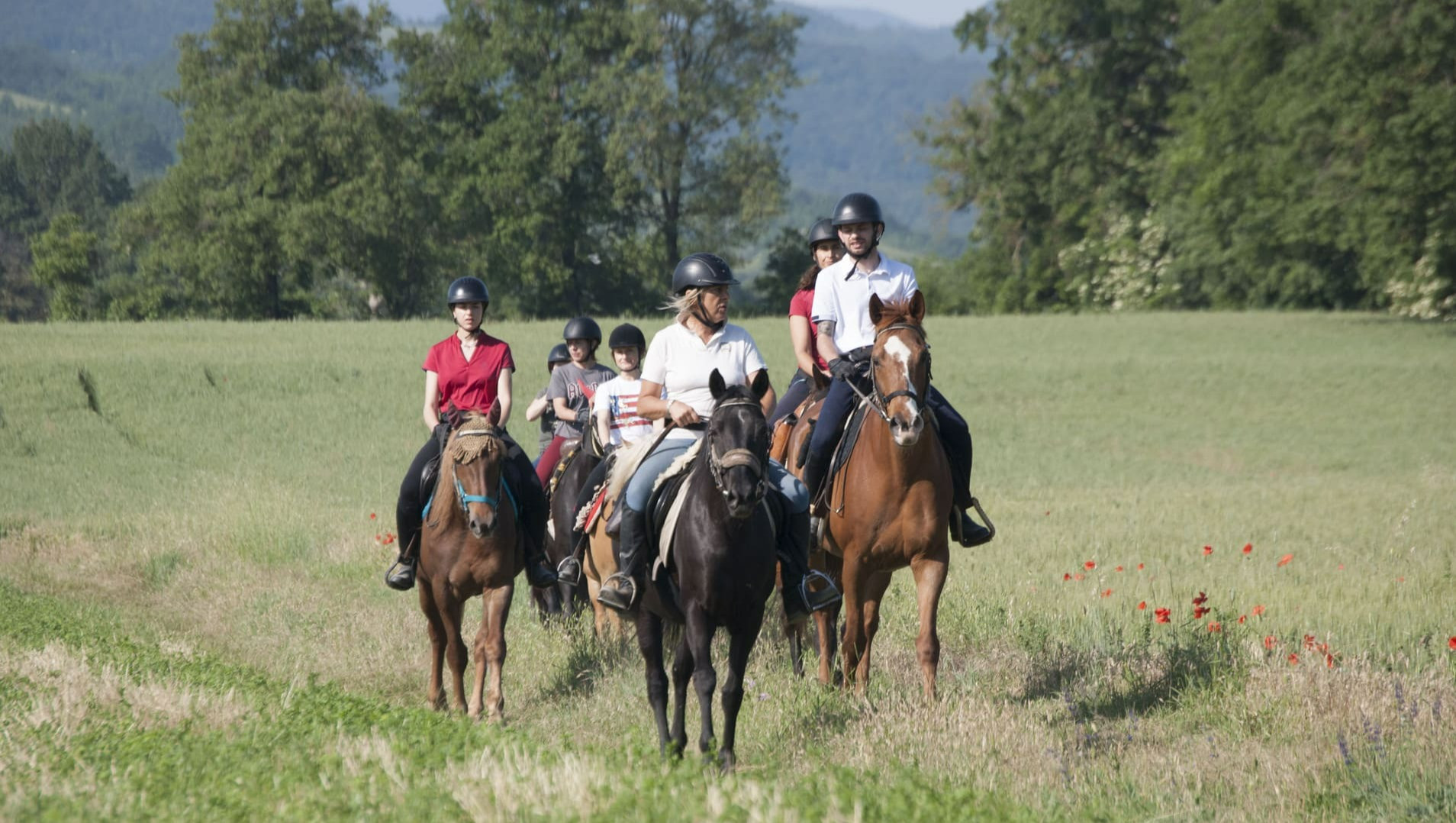 Passeggiata a Cavallo nel Parco dello Stirone