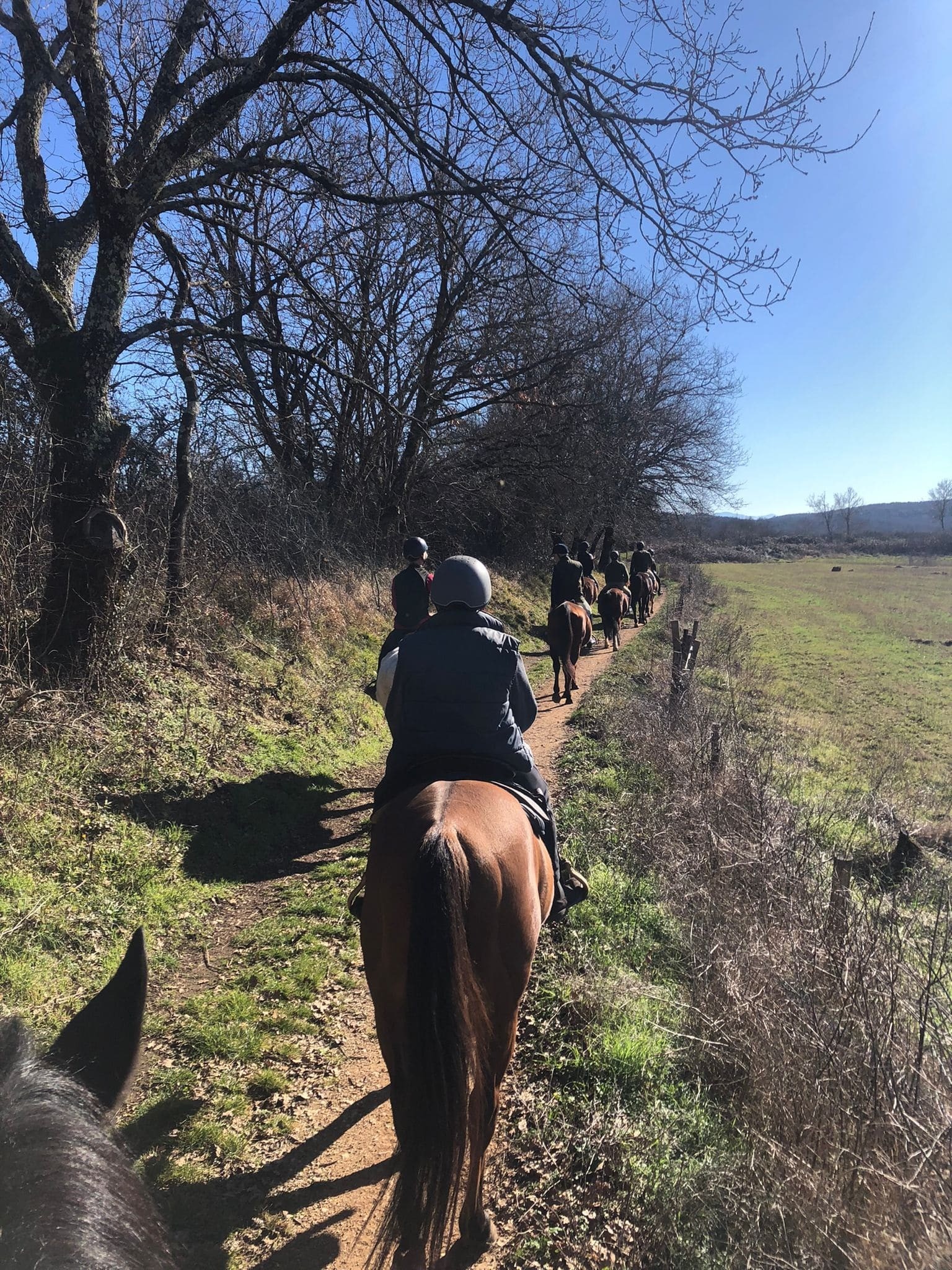Passeggiata a Cavallo sulla Via Francigena a Siena