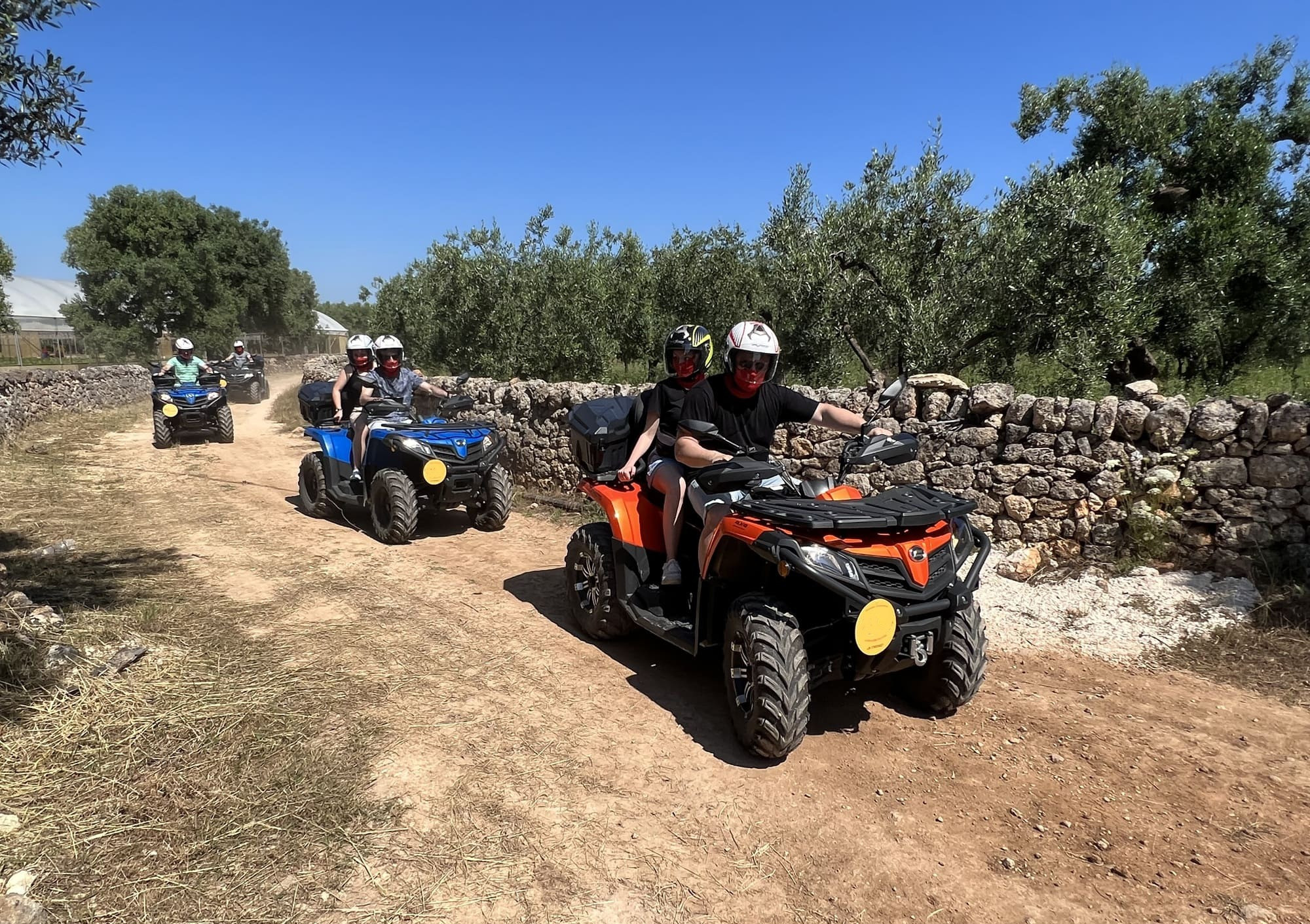 Tour in Quad di 60 o 90 minuti nella Murgia Barese