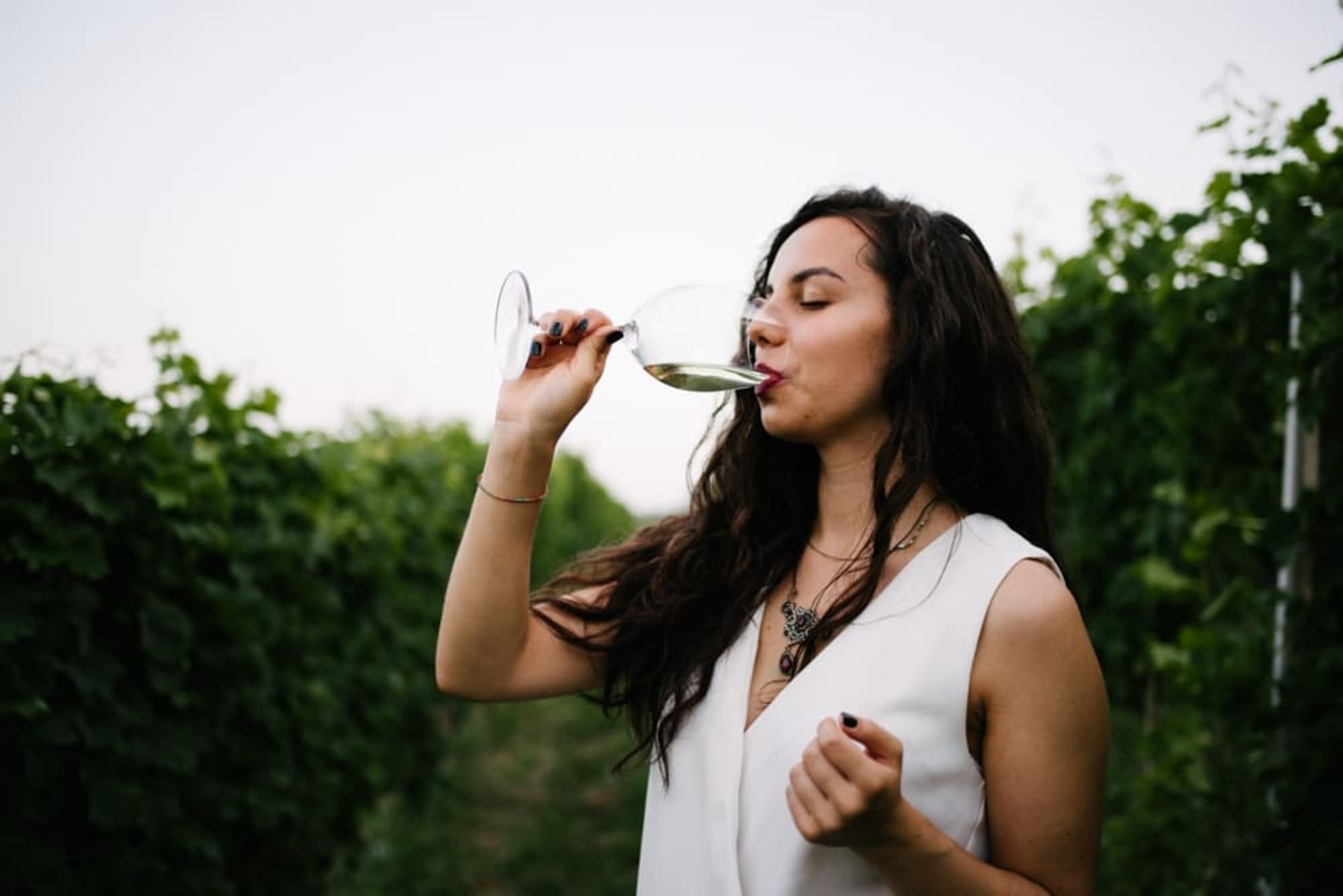 Visita in Cantina e Degustazione di Vini nelle Langhe