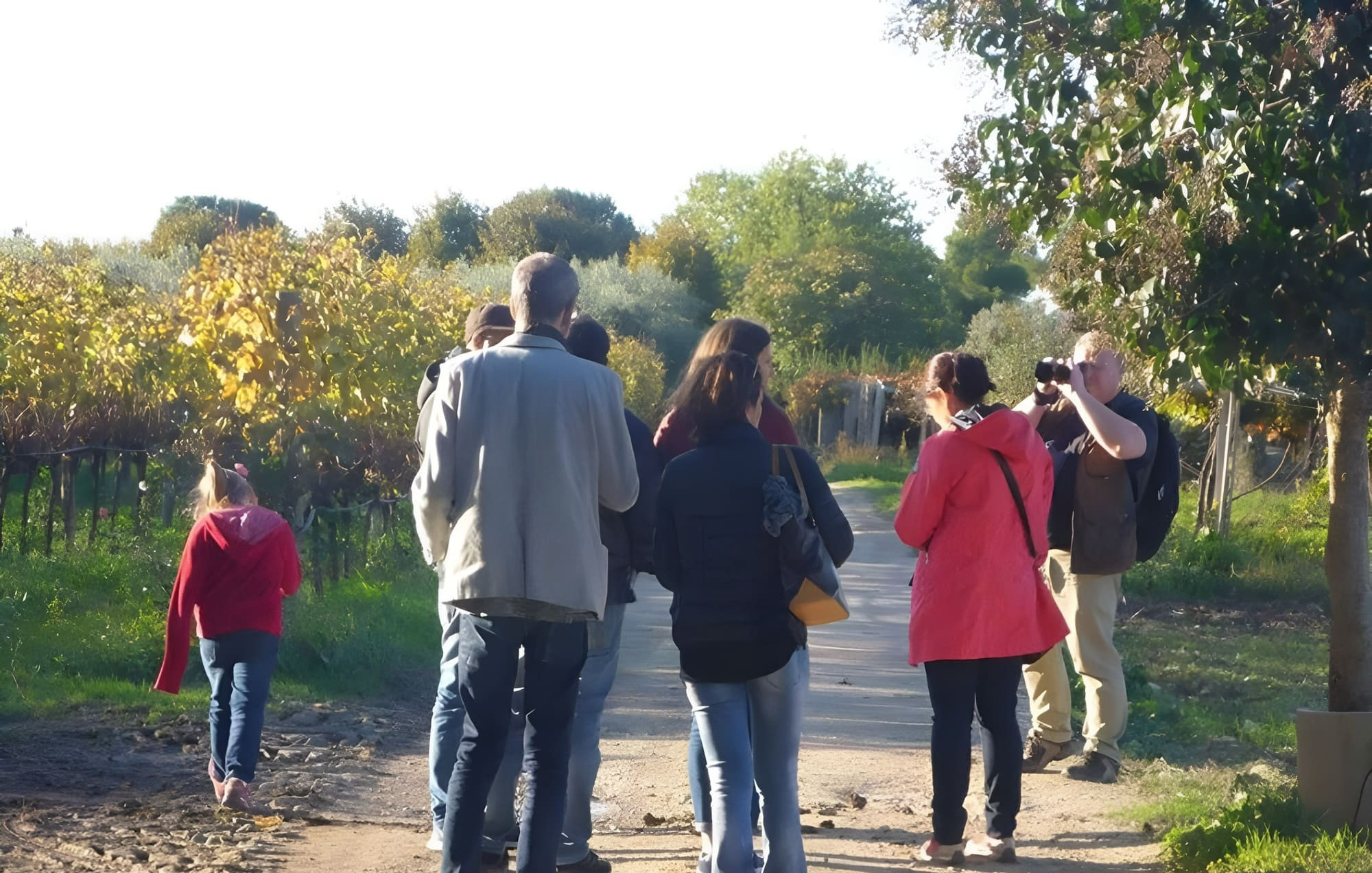 Visita in Cantina e Degustazione vicino Chieti