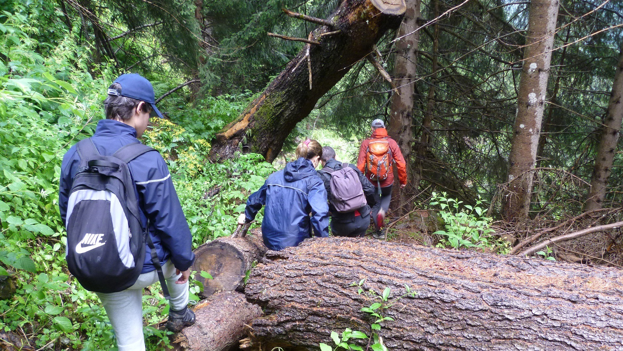 Wildlife Watching in Trentino nella Val di Pejo